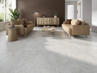 Стилен гранитогрес Pantheon EV Griseo Crosscut