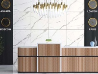 Елегантен гранитогрес Statuario Goia Mate