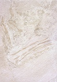 Облицовъчен гранитогрес Perugia Beige